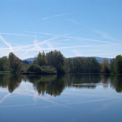 kok中欧登录入口下载手机版截图